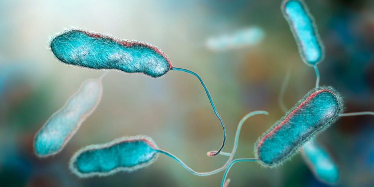 Legionnaires’ Disease Outbreak in NYC Kills 1 Person And Sickens 19