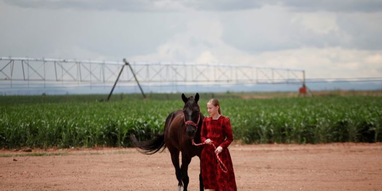 In Mexico, a decade of images shows Mennonites’ traditions frozen in time