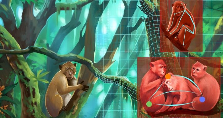 Risky teleoperation, Rocket League simulation, and zoologist multiplication – TechCrunch