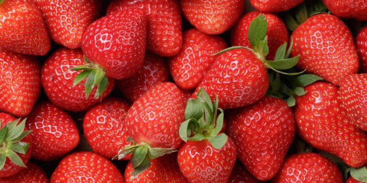 Strawberries Recalled As Hepatitis A Virus Outbreak Has Left 16 Hospitalized