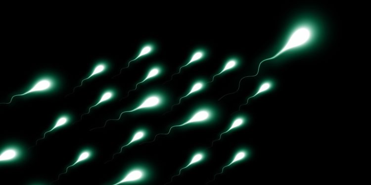 Study shows men with obesity can double their sperm count