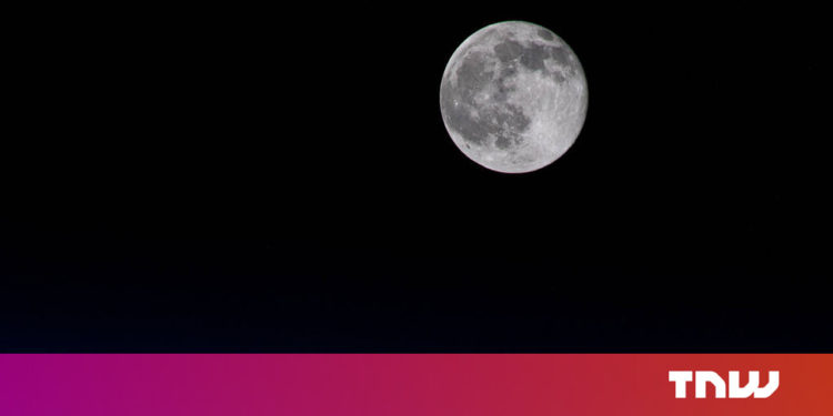 Study suggests you may be able to grow plants on the Moon