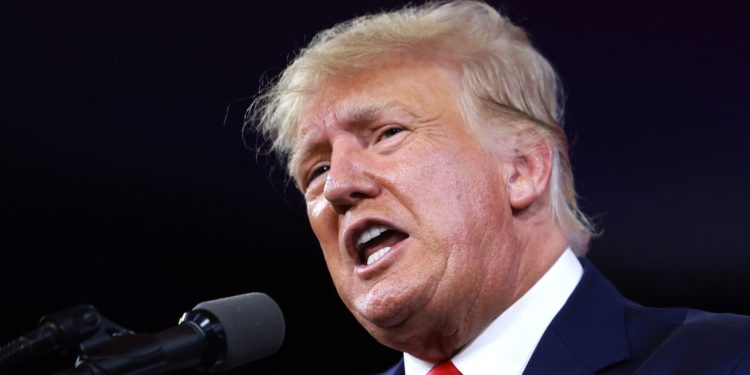 Trump's 'Hurricane Gun' Story Sets Off Twitter Tempest: 'That Seems Sane'