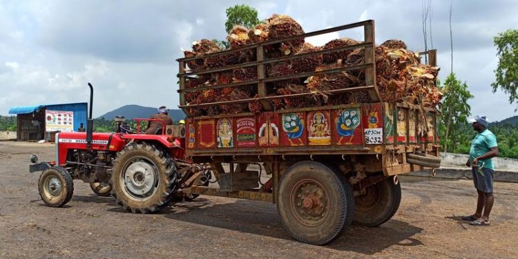 India’s palm oil imports could hit 11-yr low as soyoil rises