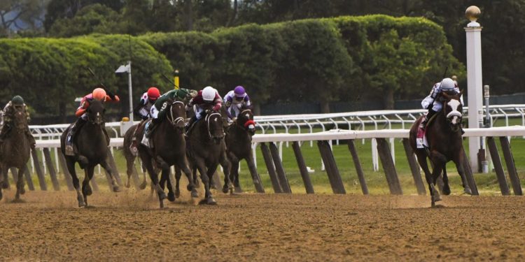 Eight Grade 1 Races, Odds And Picks