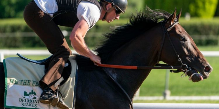 Late Saturday Odds, Best Bets, And Nest’s Bid To Beat Mo Donegal And Rich Strike