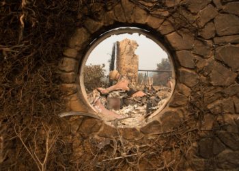 Woman From India Leads As Winemaker At Beloved Napa Winery To Build A Better Tomorrow After Tragedy