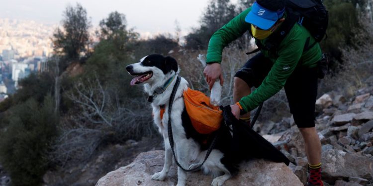 Clean, green superhero dog fights garbage in Chile