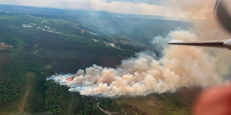 Damage Estimates Climb From Massive New Mexico Wildfire