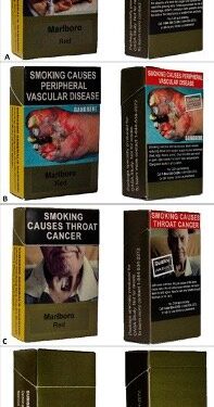 Graphic warnings on cigarette labels led smokers to hide packs: study