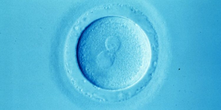 How overturning Roe could affect testing of embryos in IVF clinics