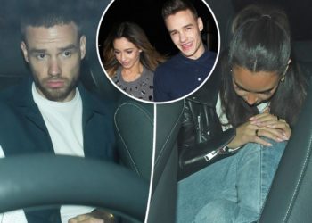 Liam Payne spotted with Danielle Peazer 9 years after breakup