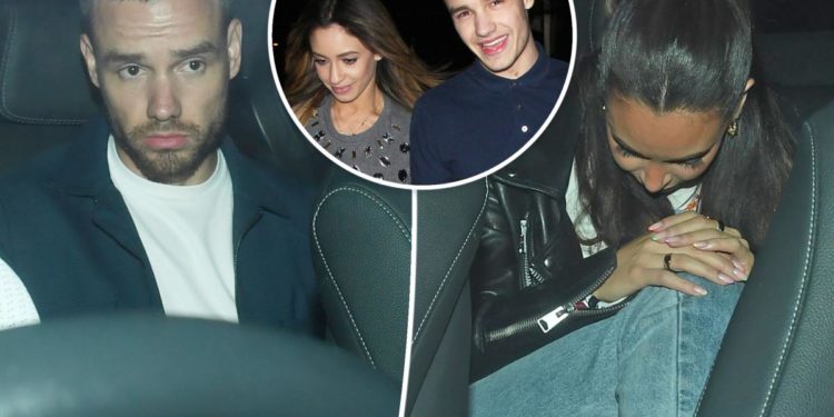 Liam Payne spotted with Danielle Peazer 9 years after breakup