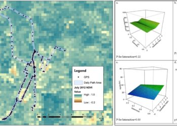 People are most physically active when their environments are both highly walkable and very green