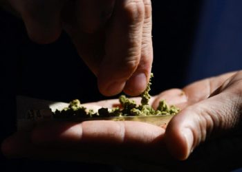 Recreational Cannabis Not As Harmless As People Think, Study Suggests