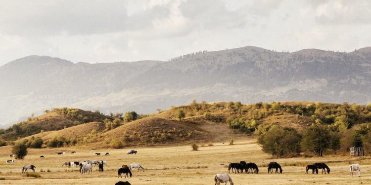 How Sustainability Has Become A Marketing Necessity In Luxury Hotels