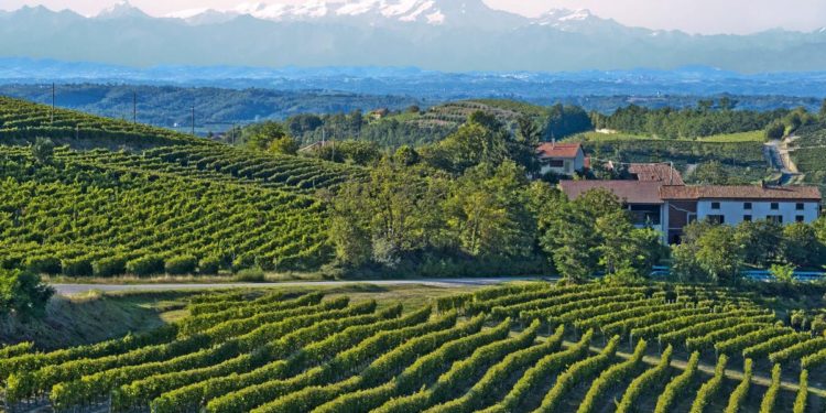 Birthplace Of Italian Sparkling Wines