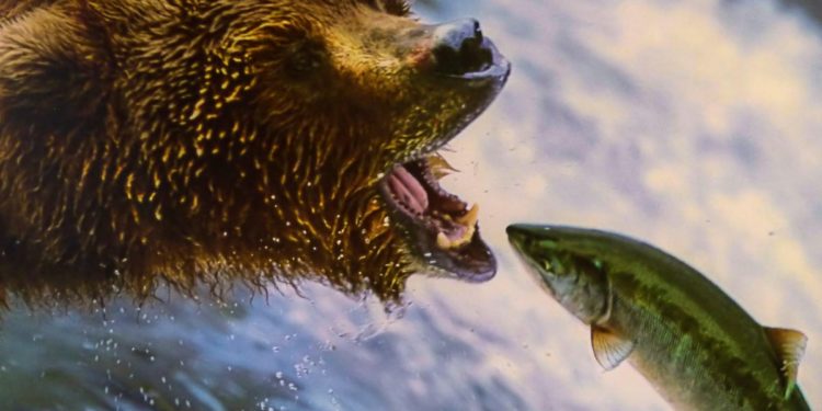 Rock Legend Huey Lewis Takes His Love Of Fishing (And Fish) To The Giant Screen