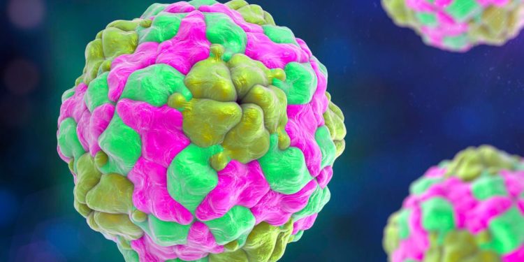 CDC Issues Parechovirus Alert, Here’s How PeV Can Be Dangerous To Infants