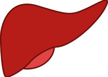 Prenatal exposure to chemicals in consumer and industrial products is associated with rising liver disease in children