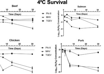 Research suggests SARS-CoV-2 could survive for a month on refrigerated or frozen meat products