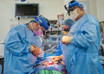 Researchers Transplant Pig Hearts In 2 Brain Dead Patients