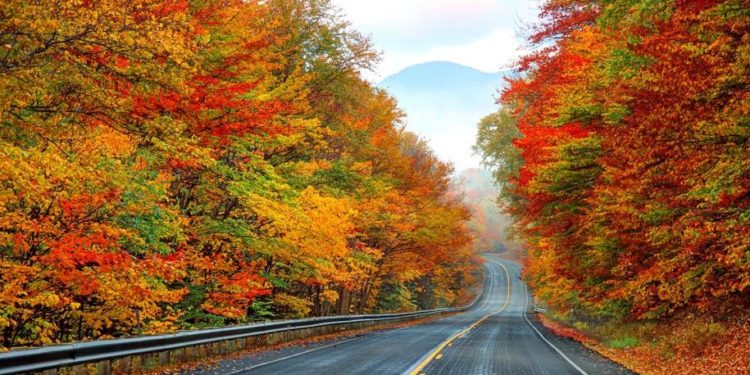 5 Scenic Road Trips To Take In North America This Fall