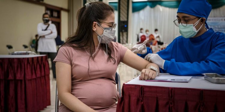 Covid mRNA Vaccines Safe For Pregnant People, New Study Reinforces