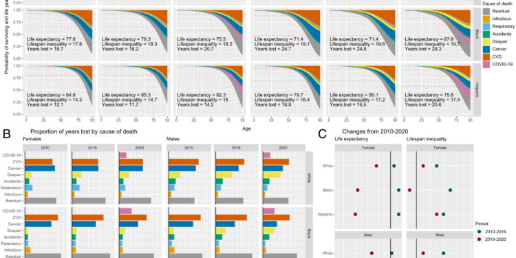 Life expectancy of minorities hit hardest in the US during COVID-19
