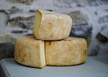 Small daily portion of Jarlsberg cheese may help to stave off bone thinning