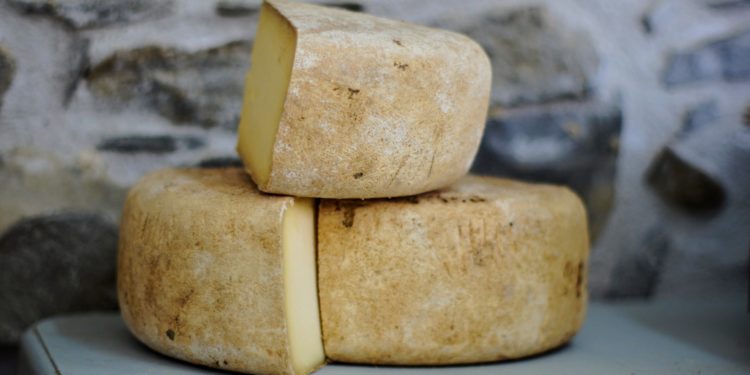Small daily portion of Jarlsberg cheese may help to stave off bone thinning