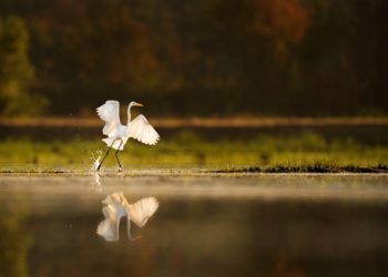Study pinpoints 'win-win' solutions to protect human health and conserve ecosystems
