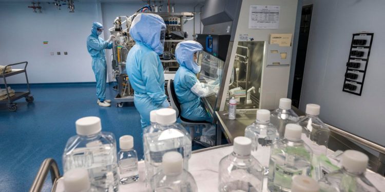 The Pursuit of a Universal Vaccine (Part 3)