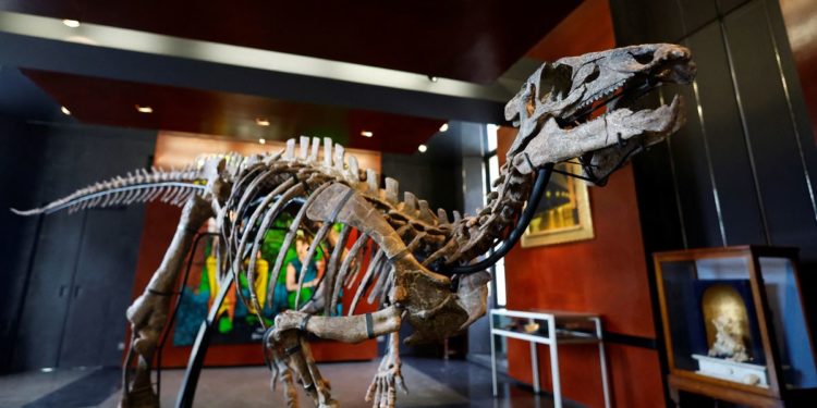 Small dinosaur fit for the living room to be sold at Paris auction