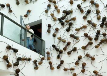 Amsterdam’s Rijksmuseum crawling with giant ants