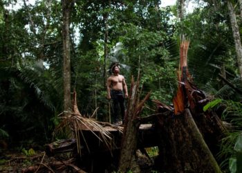 Battle to halt Amazon deforestation laid bare in film ‘The Territory’
