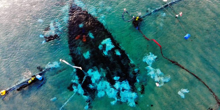 Holy Land shipwreck reveals tenacity of ancient traders as empires shifted