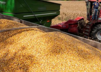 U.S. railways to halt grain shipments ahead of potential shutdown -agriculture sources