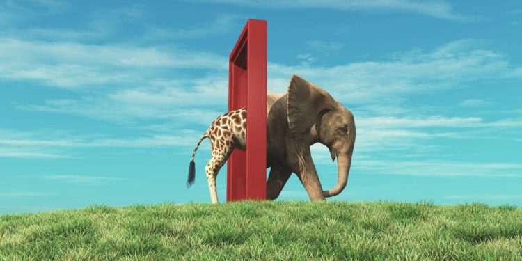 Why Amwell’s Roy Schoenberg Is Bullish On Telehealth’s Future