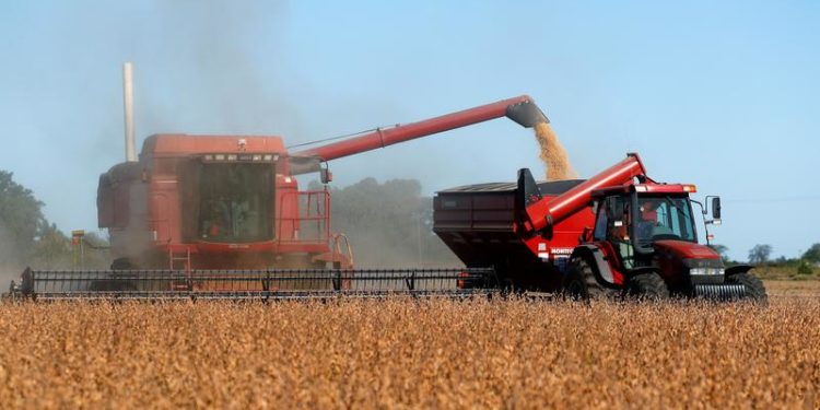 Argentine soy farmers who hoard stock to face higher financing costs, central banks says