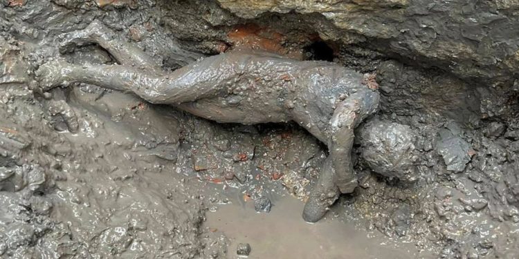 Italy hails ‘exceptional’ discovery of ancient bronze statues in Tuscany