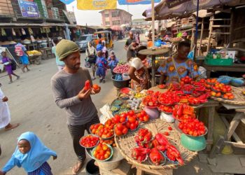 Nigerian artist’s exhibition showcases food preservation methods