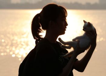 Year of the Rabbit? Not so fast! Vietnam’s Lunar New Year to celebrate the cat