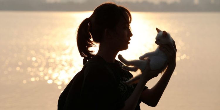 Year of the Rabbit? Not so fast! Vietnam’s Lunar New Year to celebrate the cat