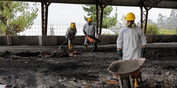 Ecuador turns surfeit of seized cocaine into concrete