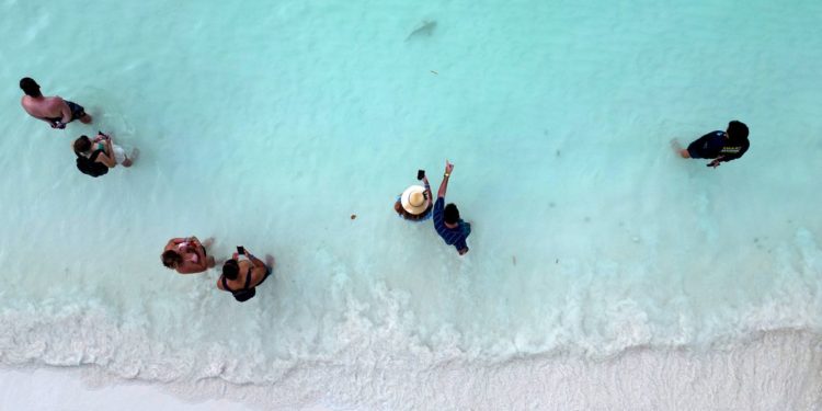 Sharks, tourists jostle for space around Thai destination island