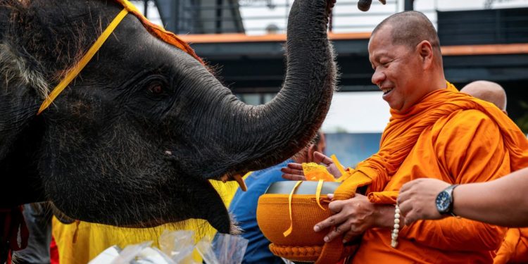 Elephants honoured in Thailand as part of nation’s heritage