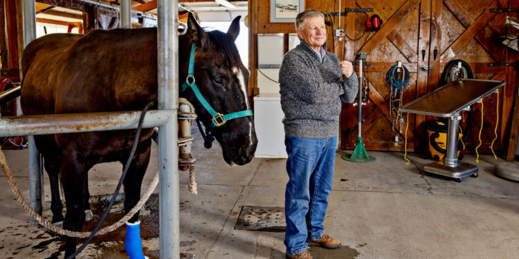The Fight Over a Drug That Is Great for Horses but Horrific for Humans
