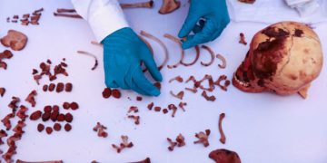 Peruvian gas firm doubles up as pre-Hispanic tomb-finder