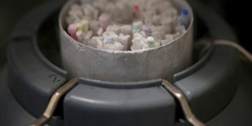 Father of hundreds gets sperm donation ban from Dutch court